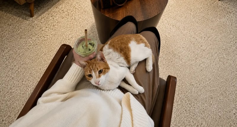 International Cat Day at Uptown Social