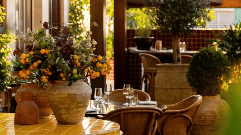 Lana Lusa logo image