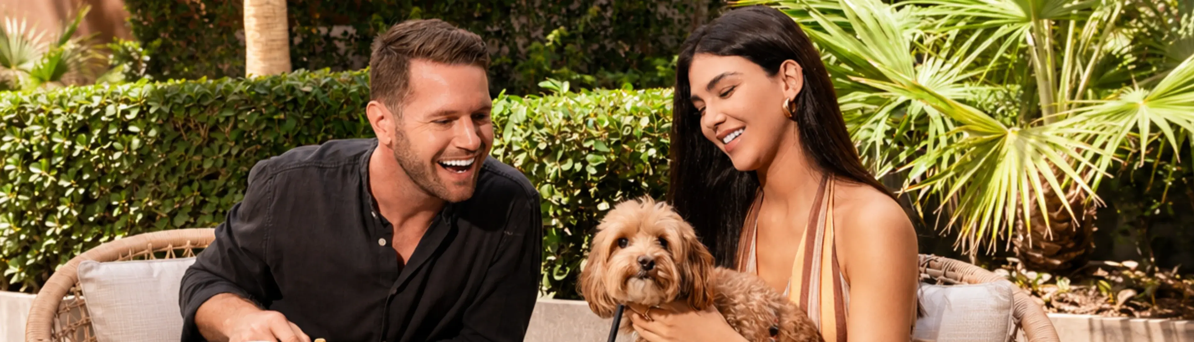 International Dog Day at Uptown Social