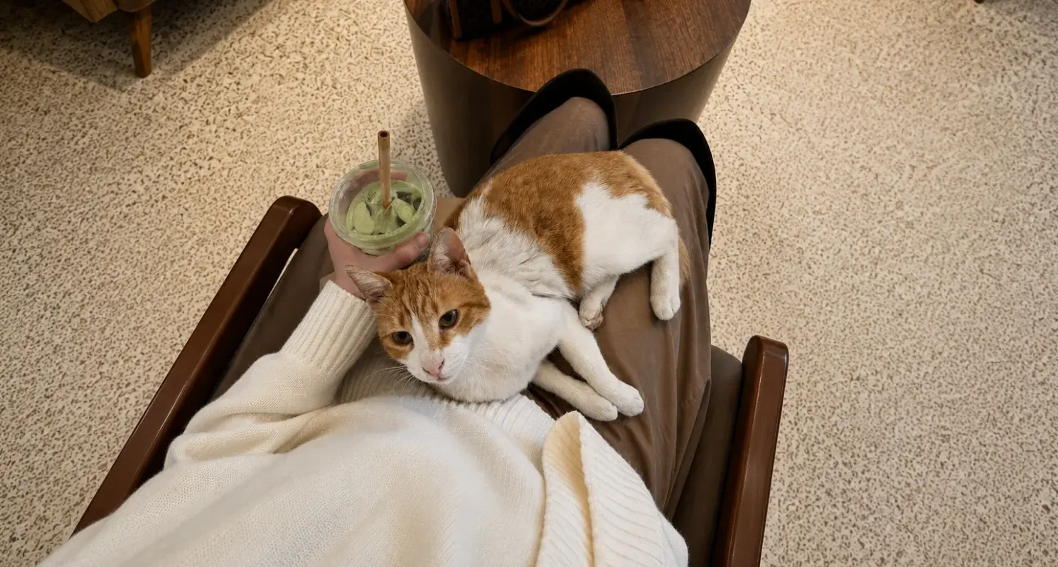 International Cat Day at Uptown Social