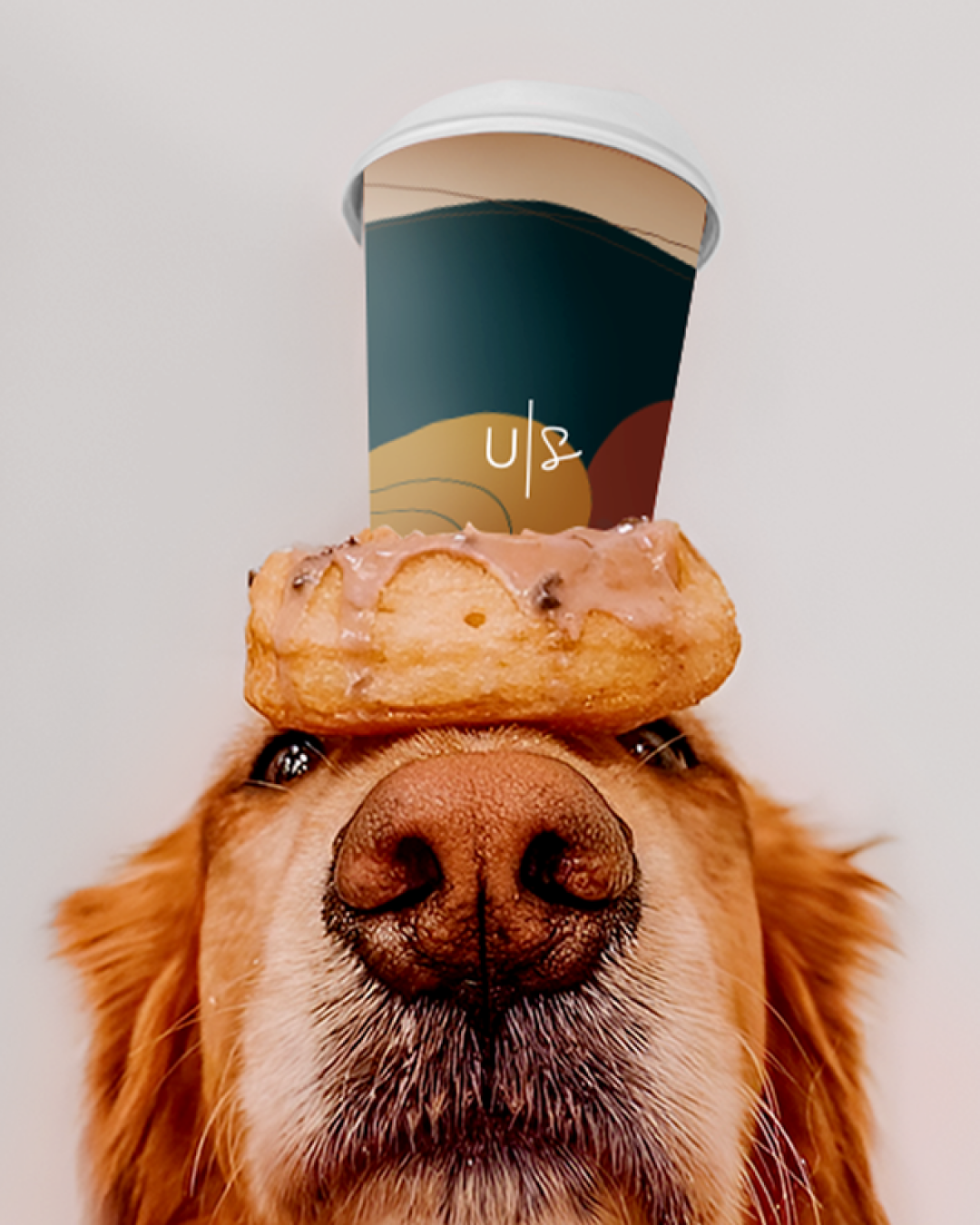 Uptown Social – Treat Your Furry Friend